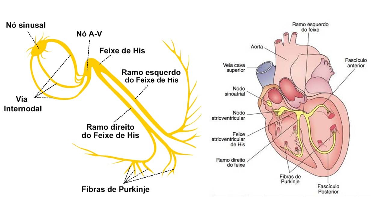 Ritmo Clínica de Arritmia e Marcapasso